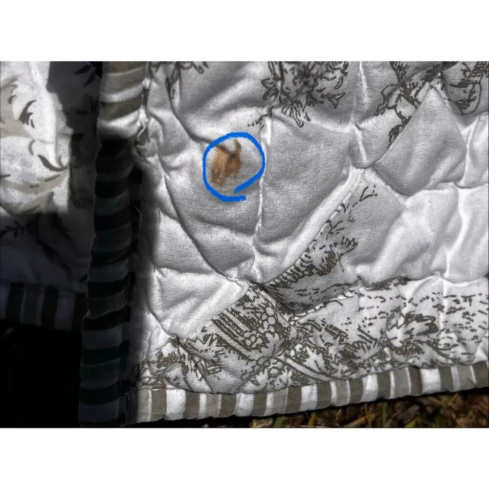 PINE CONE HILL Gray & White Toile Quilted Bedspread